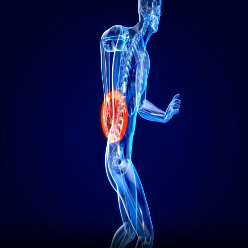 back-safety-101-orientation