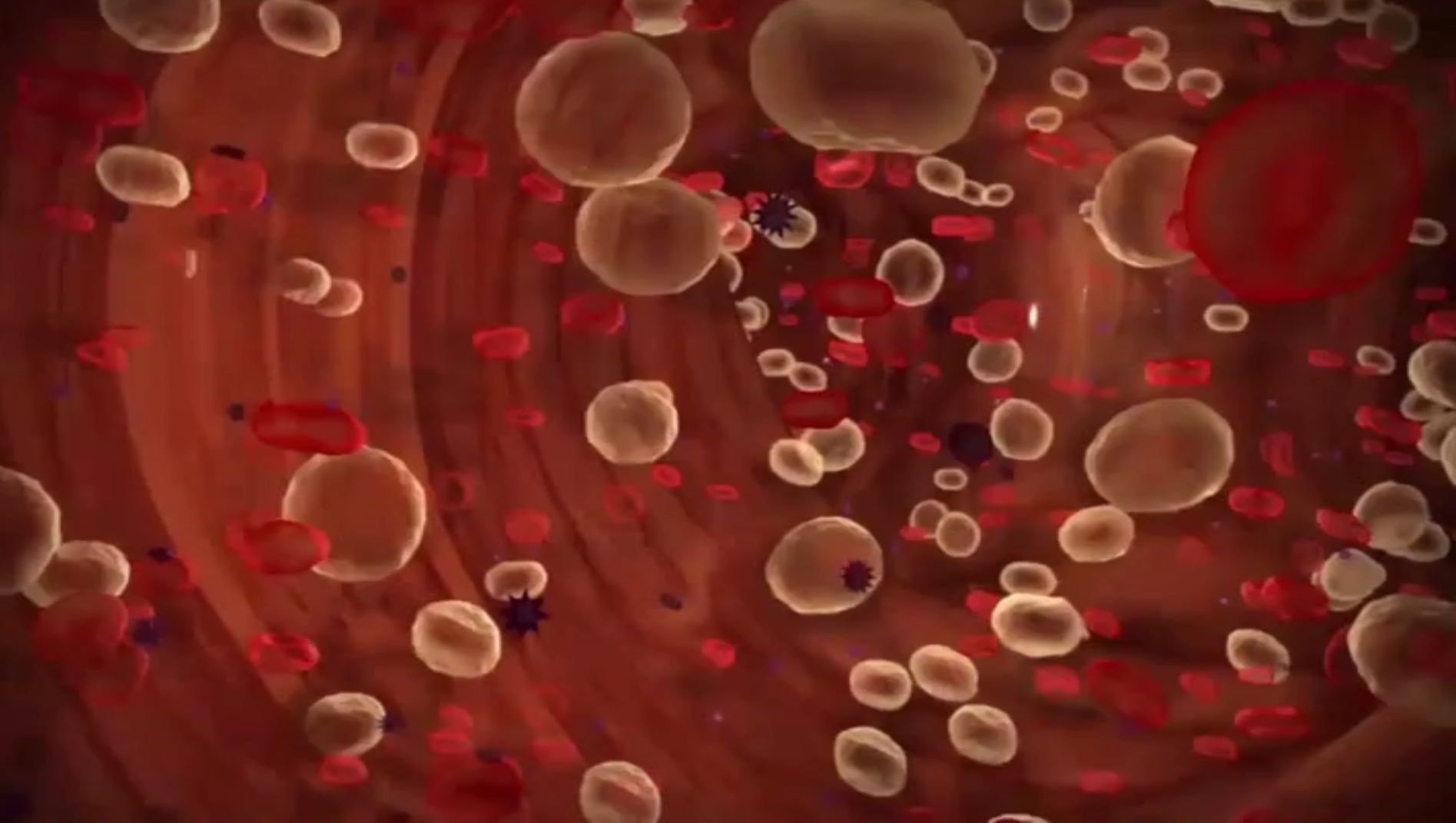 bloodborne-pathogens-with-kitchen-safety