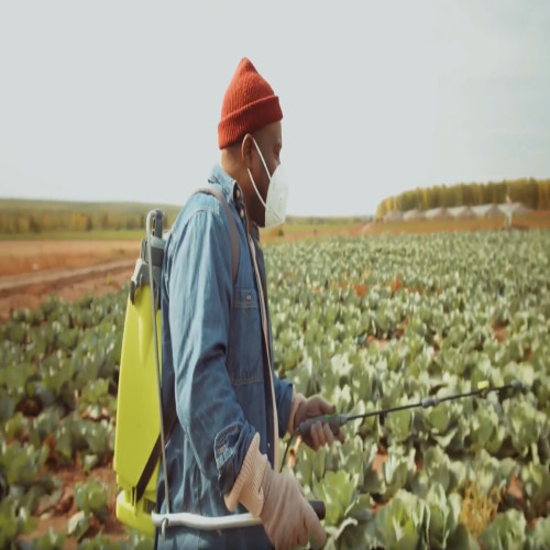 dibromochloropropane-awareness-personal-protective-equipment