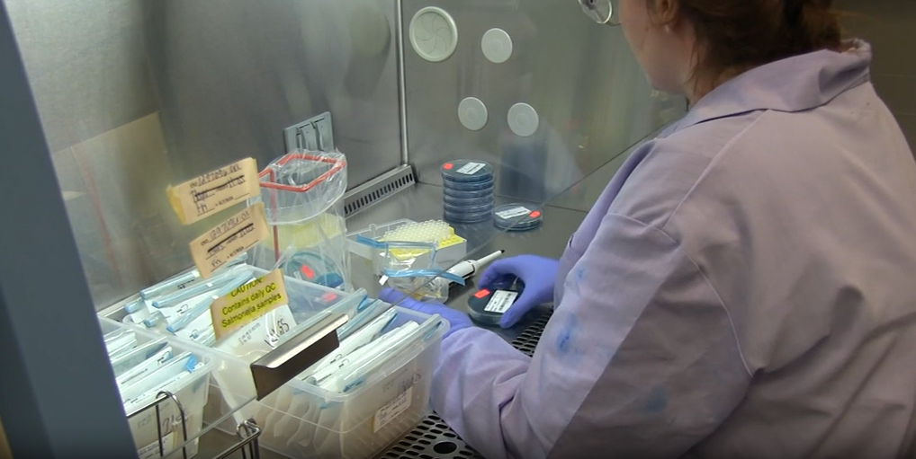 hand-and-power-tools-hand-held-saws-incident-prevention-