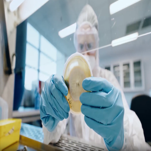 hand-and-wrist-injuries-preventative-measures