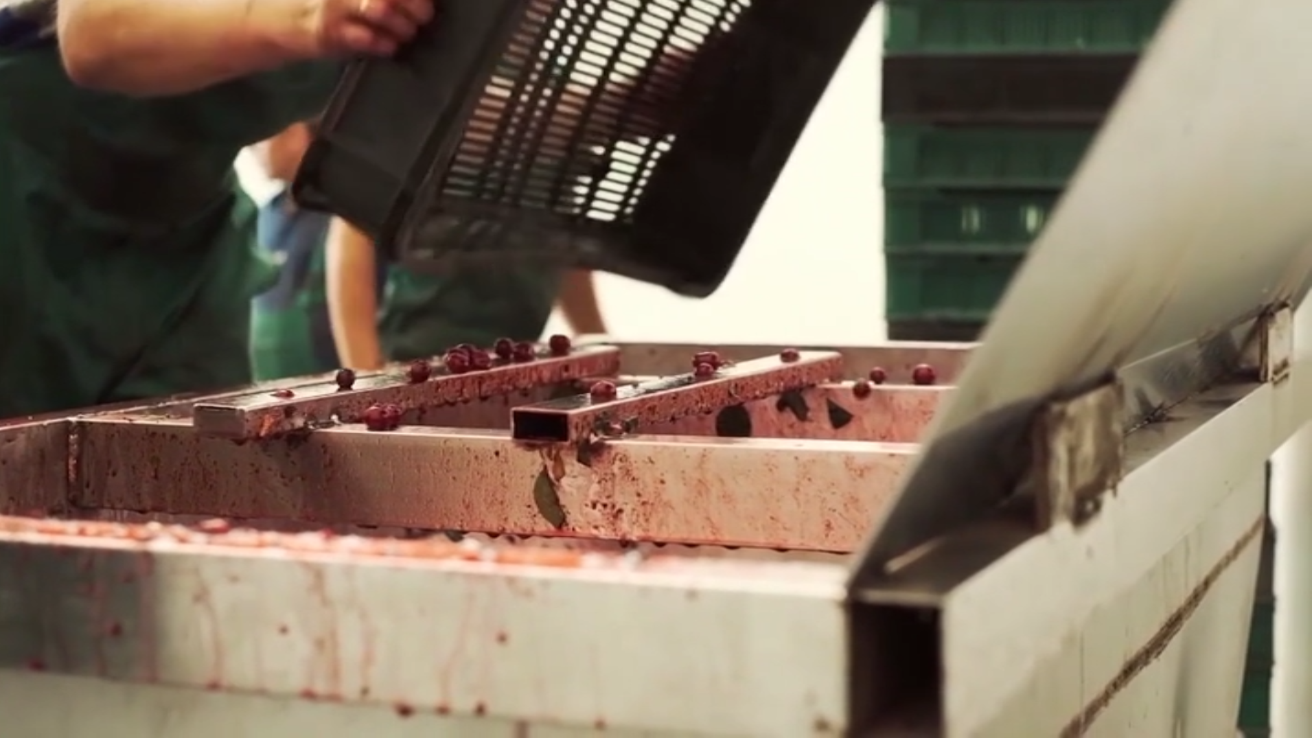 hazard-identification-for-slips-trips-and-falls