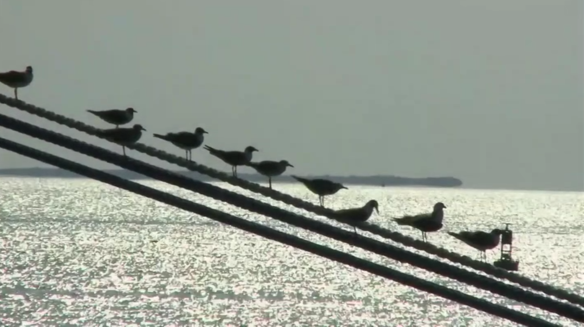 how-electricity-works-for-office-safety