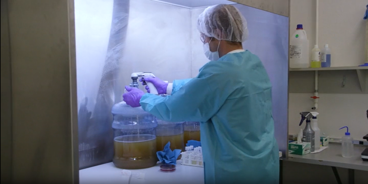 latex-standard-latex-use