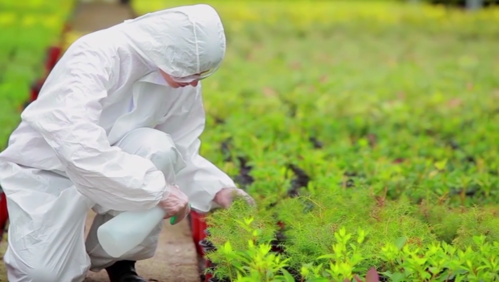 training-and-fit-for-ppe